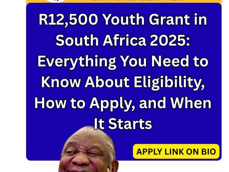HOW TO APPLY FOR R12 500 YOUTH SUPPORT GRANT